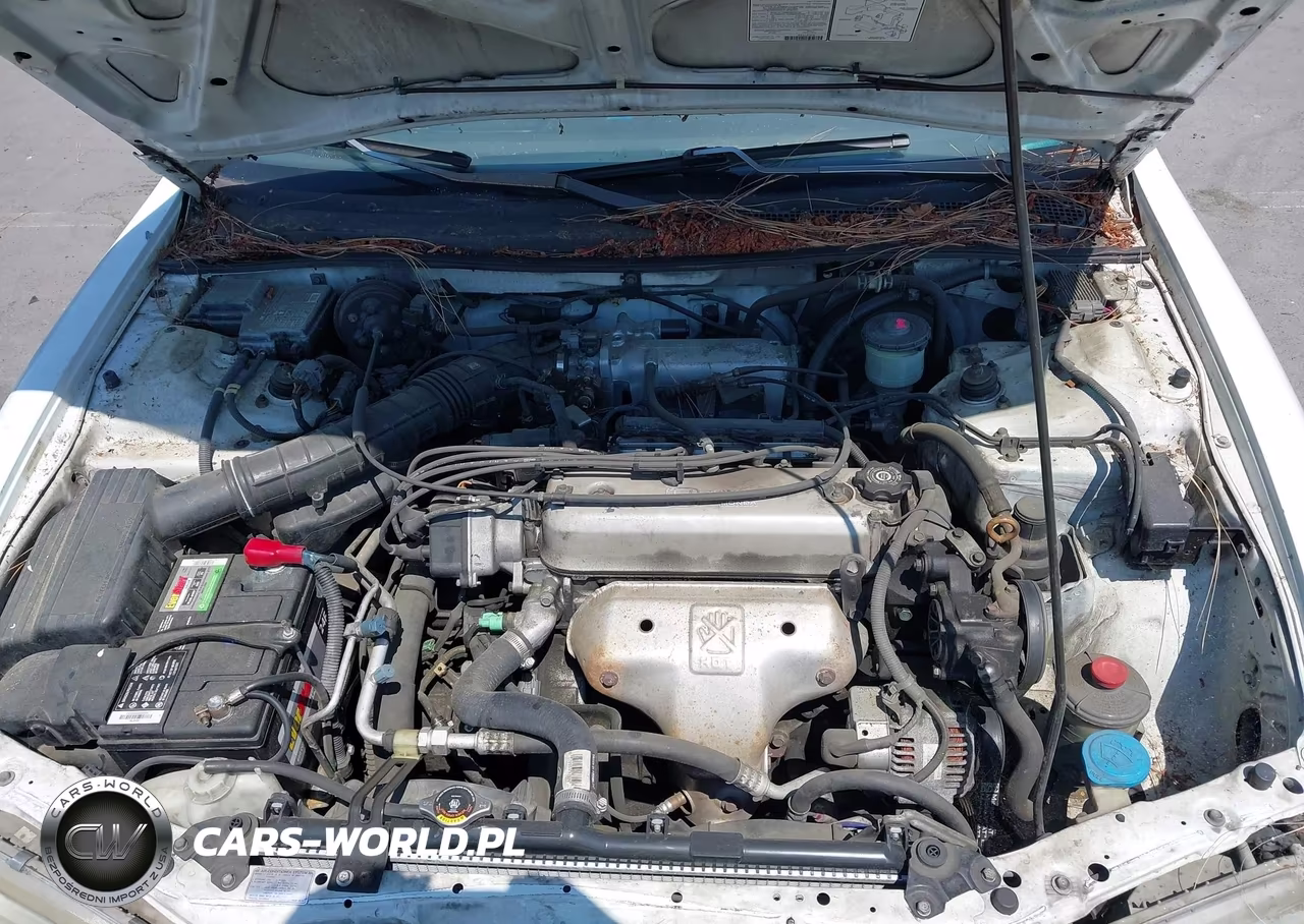 1996 Honda Accord Lx VIN:1HGCE1824TA007334 - 10