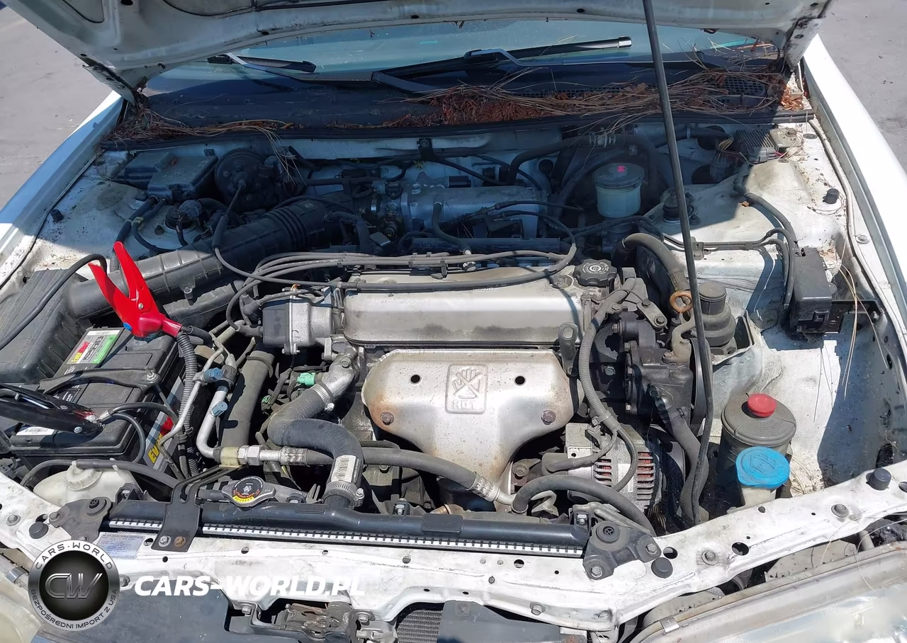 1996 Honda Accord Lx VIN:1HGCE1824TA007334 - 6