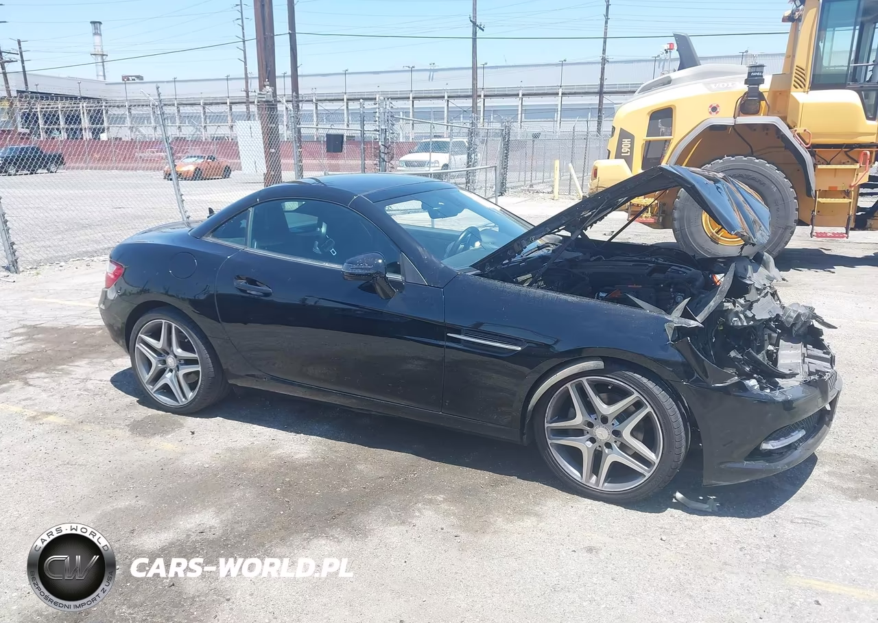 2013 Mercedes-Benz Slk 250 VIN:WDDPK4HA8DF057097 - 13