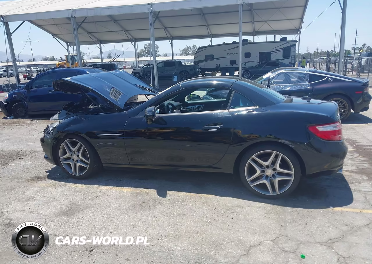 2013 Mercedes-Benz Slk 250 VIN:WDDPK4HA8DF057097 - 14