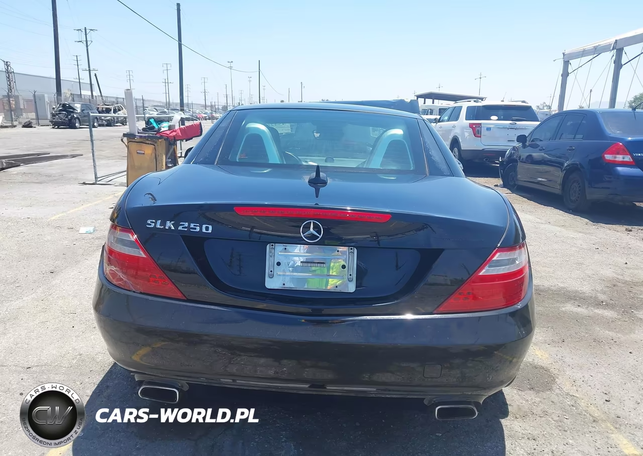 2013 Mercedes-Benz Slk 250 VIN:WDDPK4HA8DF057097 - 16
