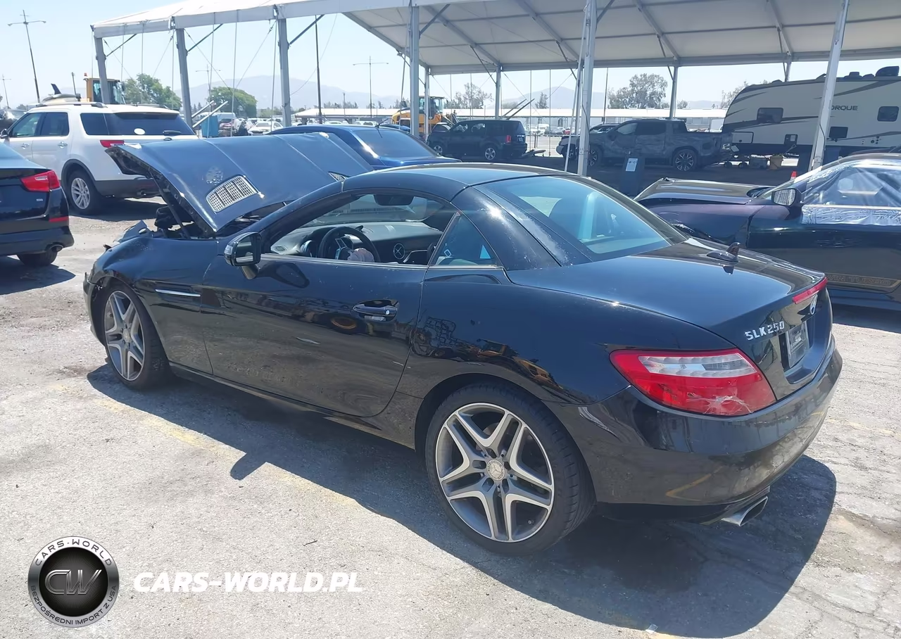 2013 Mercedes-Benz Slk 250 VIN:WDDPK4HA8DF057097 - 3