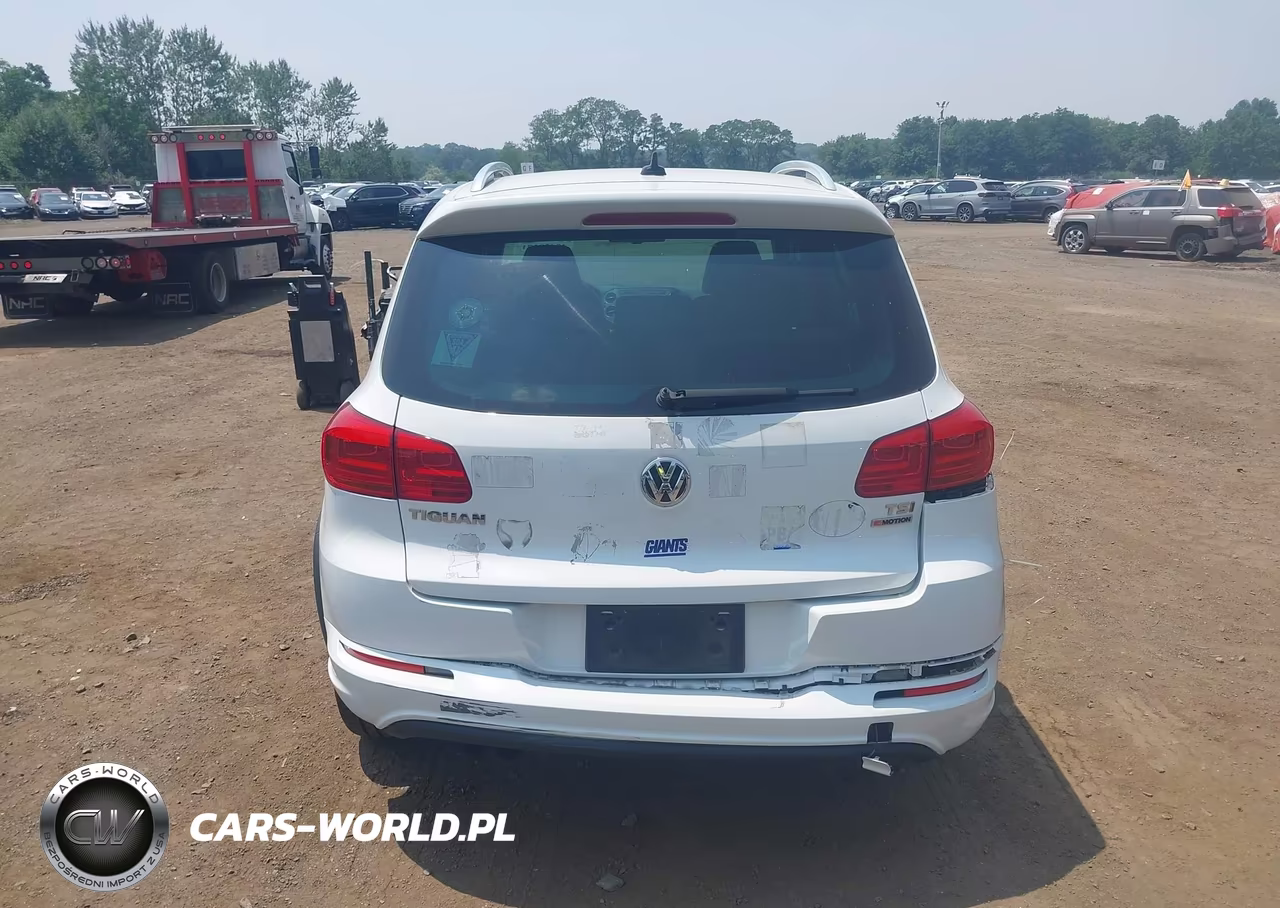 2016 Volkswagen Tiguan R-Line VIN:WVGBV7AX0GW094236 - 16