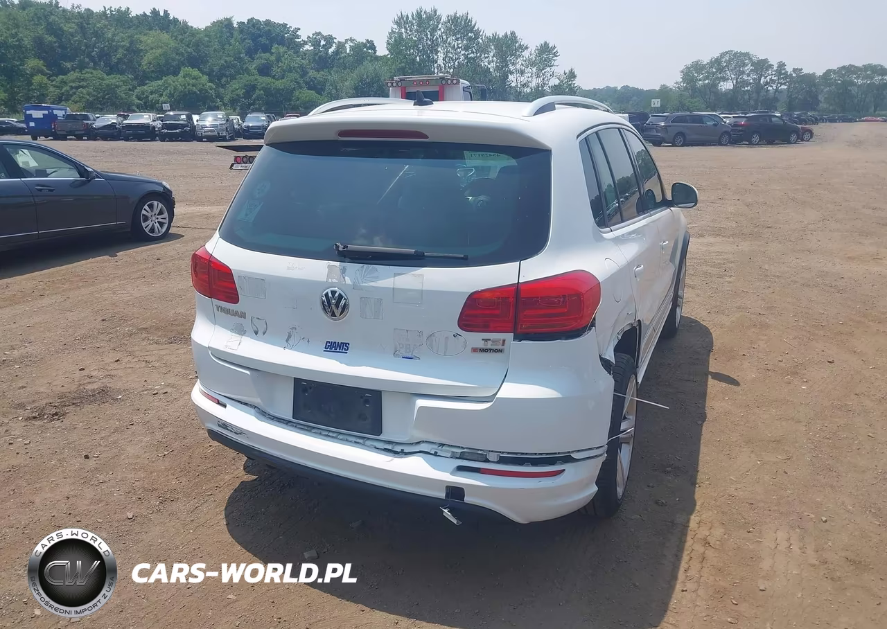 2016 Volkswagen Tiguan R-Line VIN:WVGBV7AX0GW094236 - 17