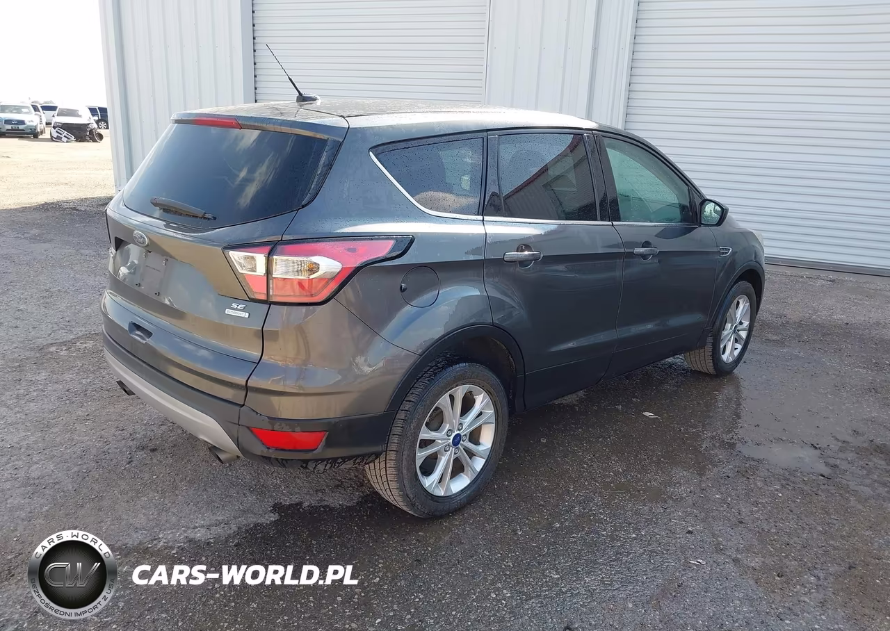 2017 Ford Escape Se VIN:1FMCU0GD4HUC10160 - 4