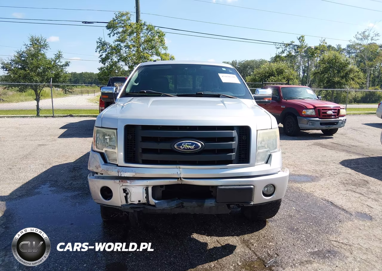 2010 Ford F-150 Fx4-Harley-Davidson-King Ranch-Lariat-Platinum-Xl-Xlt VIN:1FTFW1EV3AFC68560 - 12