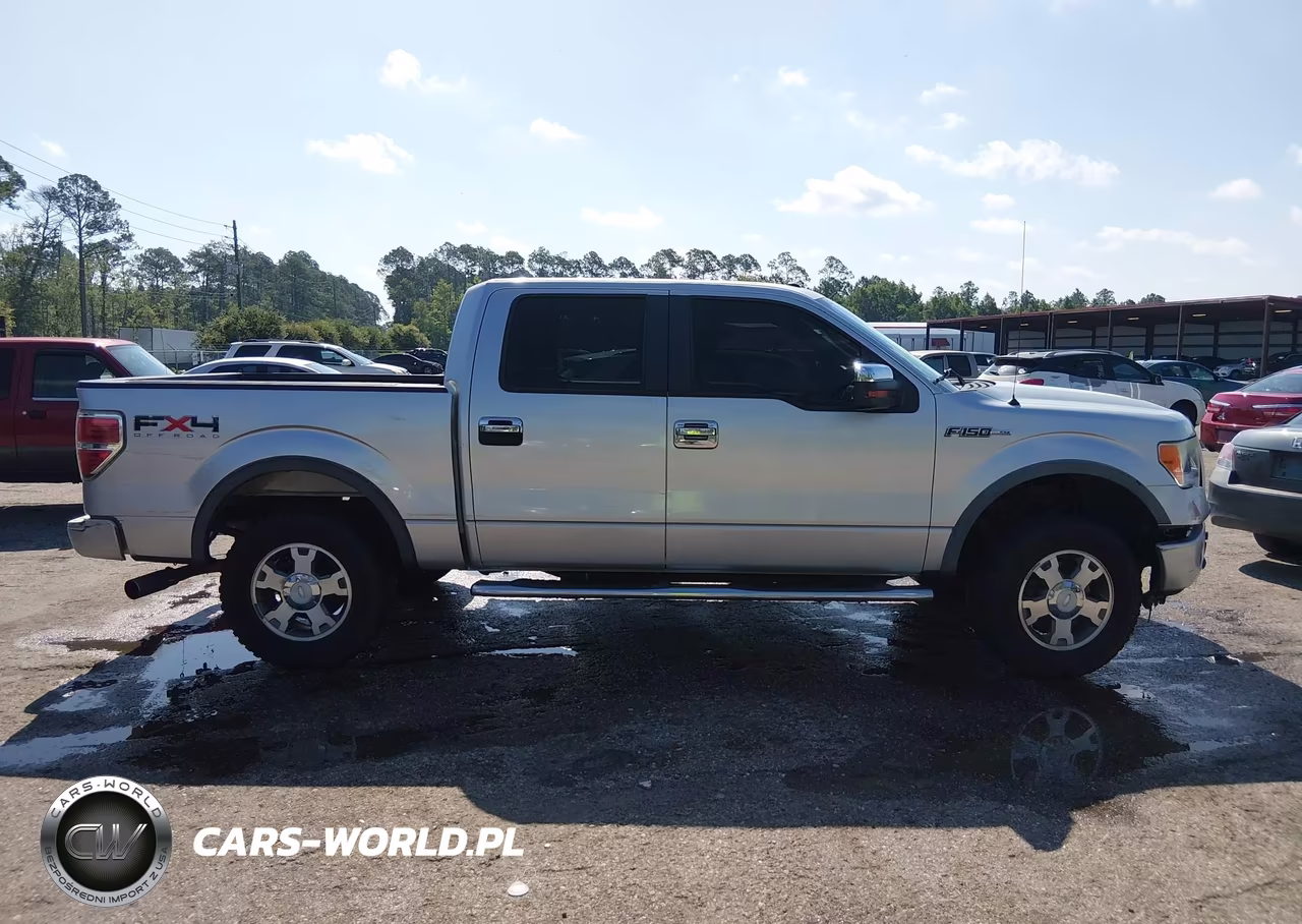 2010 Ford F-150 Fx4-Harley-Davidson-King Ranch-Lariat-Platinum-Xl-Xlt VIN:1FTFW1EV3AFC68560 - 13