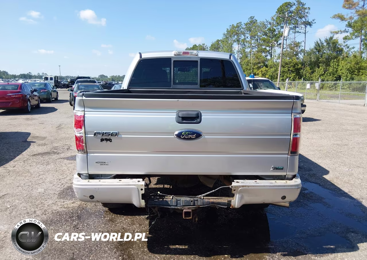 2010 Ford F-150 Fx4-Harley-Davidson-King Ranch-Lariat-Platinum-Xl-Xlt VIN:1FTFW1EV3AFC68560 - 16