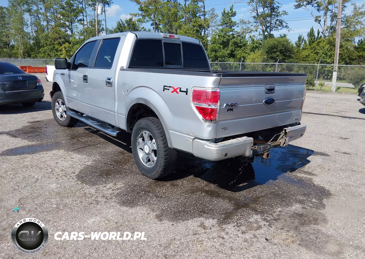 2010 Ford F-150 Fx4-Harley-Davidson-King Ranch-Lariat-Platinum-Xl-Xlt VIN:1FTFW1EV3AFC68560 - 3