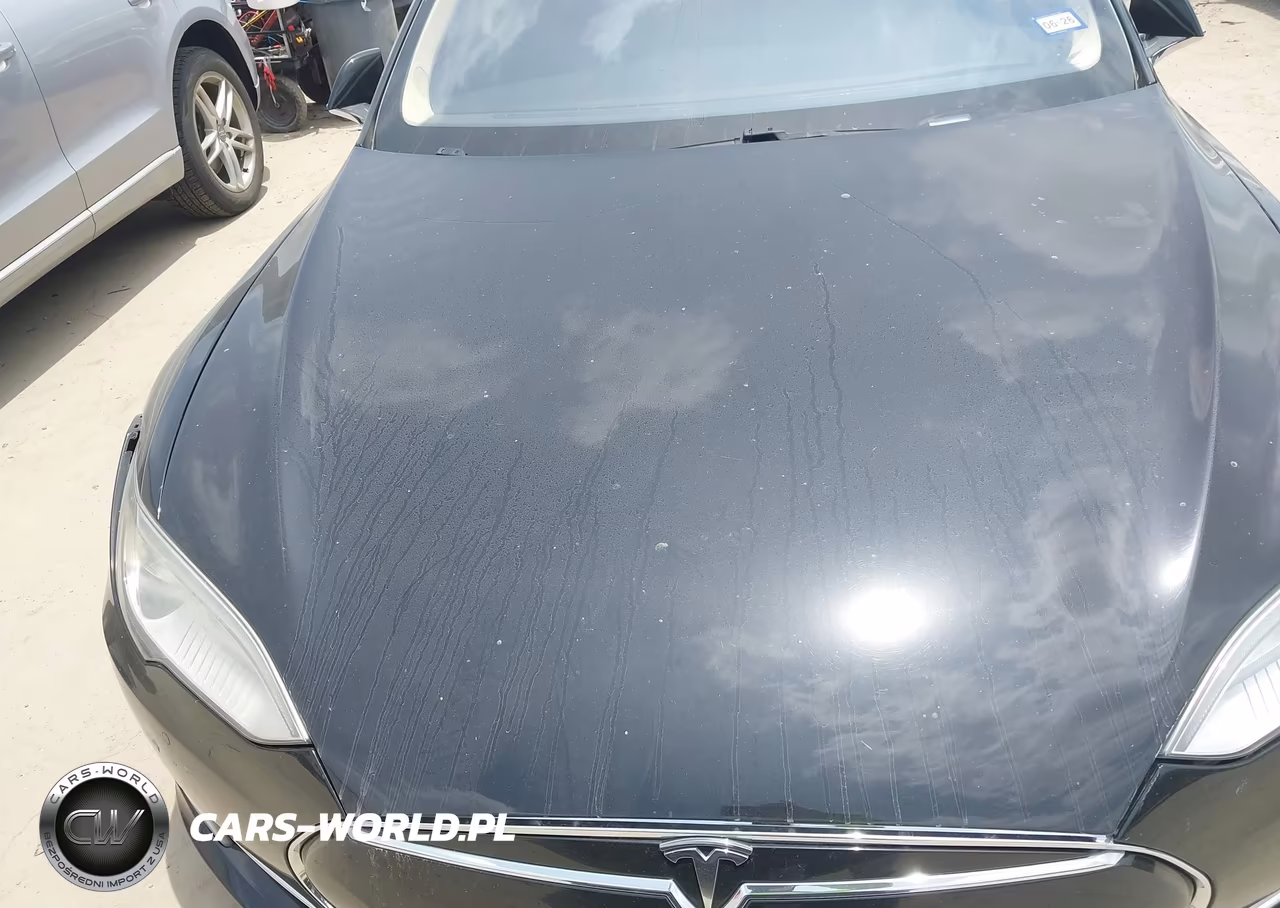 2014 Tesla Model S P85 VIN:5YJSA1H11EFP40397 - 10