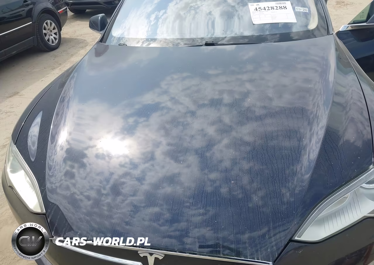 2013 Tesla Model S VIN:5YJSA1DN4DFP19986 - 10