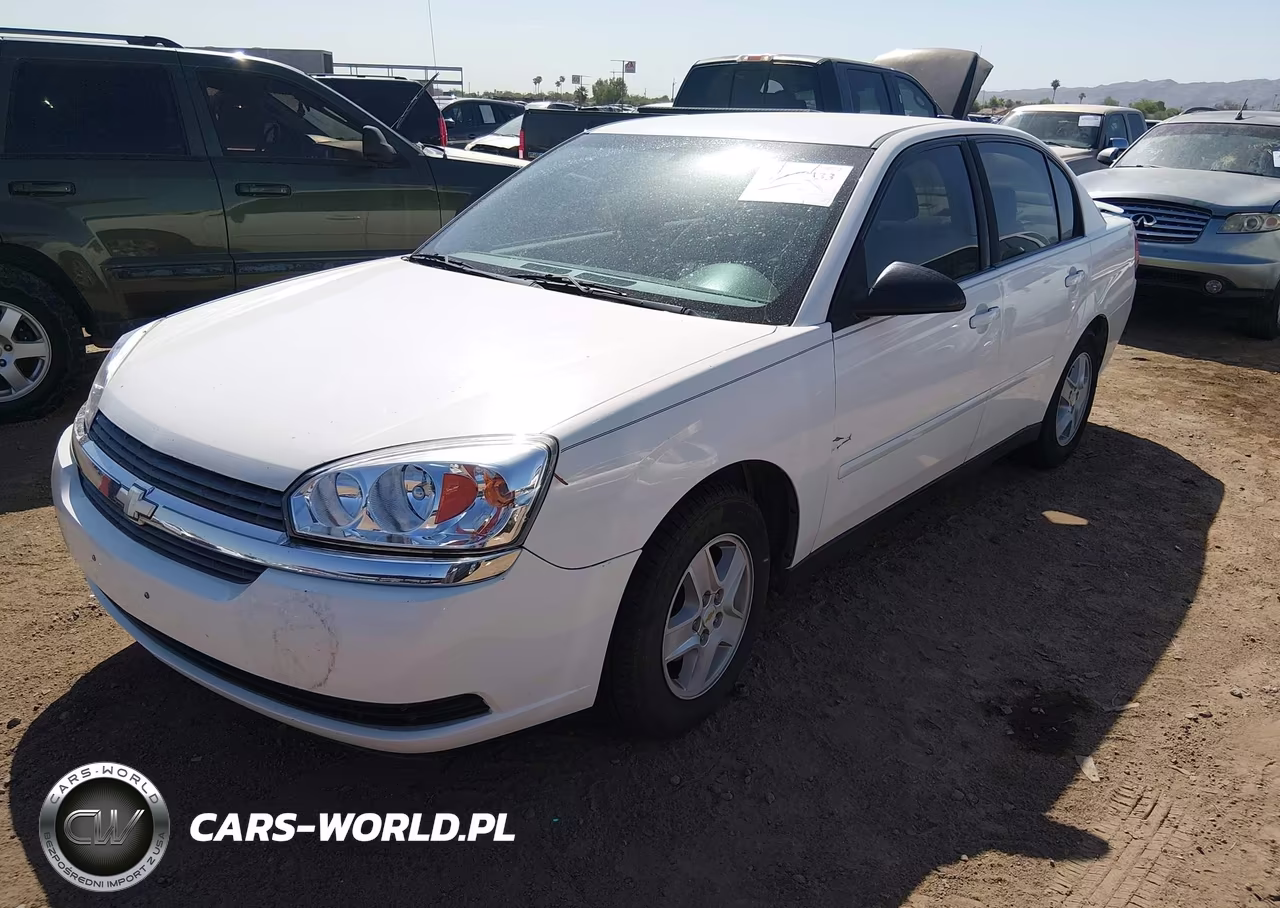 2005 Chevrolet Malibu Ls VIN:1G1ZT54845F213607 - 2
