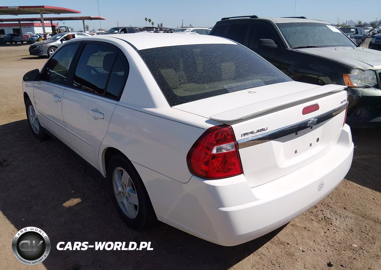 2005 Chevrolet Malibu Ls VIN:1G1ZT54845F213607 - 3
