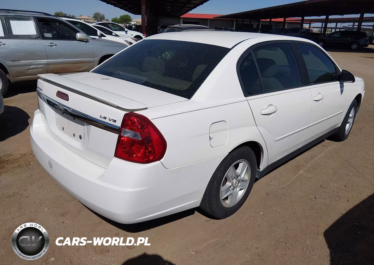 2005 Chevrolet Malibu Ls VIN:1G1ZT54845F213607 - 4