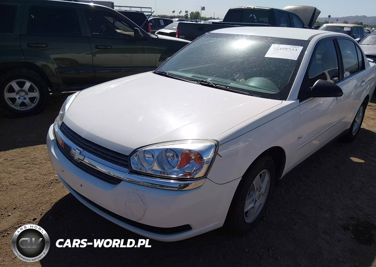 2005 Chevrolet Malibu Ls VIN:1G1ZT54845F213607 - 6