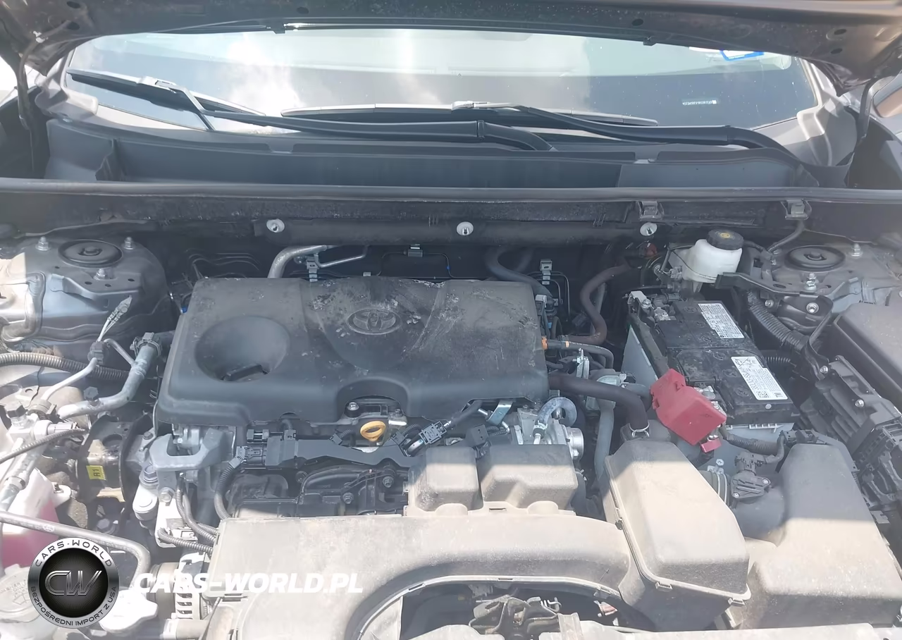 2024 Toyota Rav4 Xle VIN:2T3W1RFV1RC281749 - 10