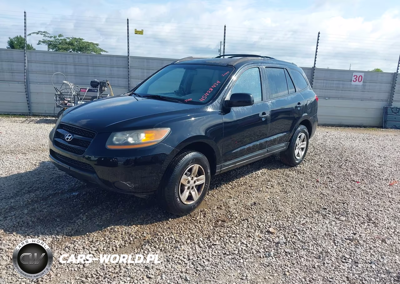 2009 Hyundai Santa Fe Gls VIN:5NMSG13D09H305259 - 2