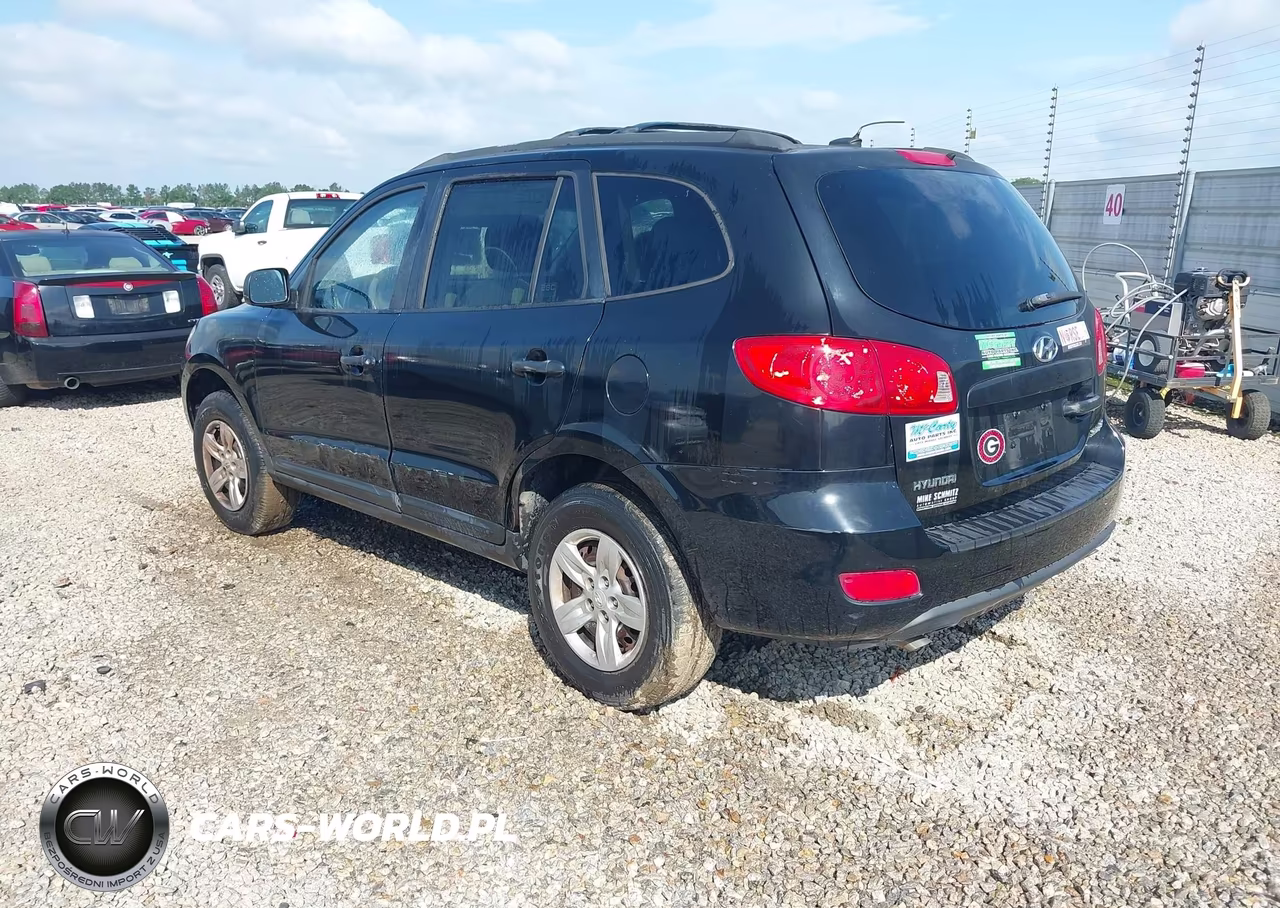 2009 Hyundai Santa Fe Gls VIN:5NMSG13D09H305259 - 3