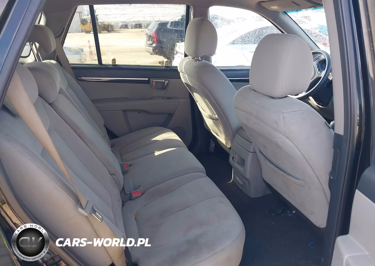 2009 Hyundai Santa Fe Gls VIN:5NMSG13D09H305259 - 8