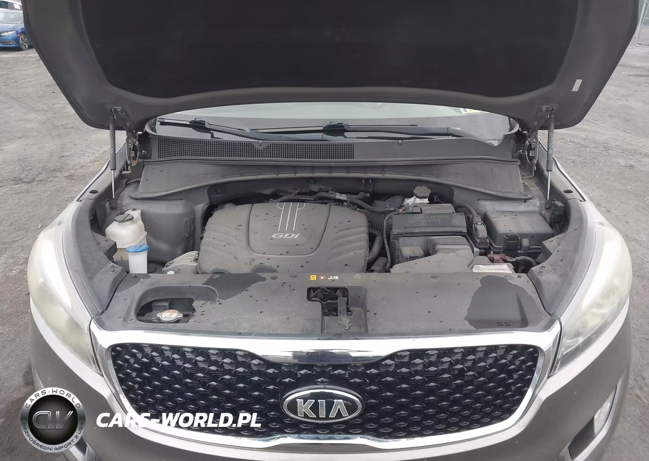 2017 Kia Sorento 3.3L Ex VIN:5XYPH4A55HG293439 - 10