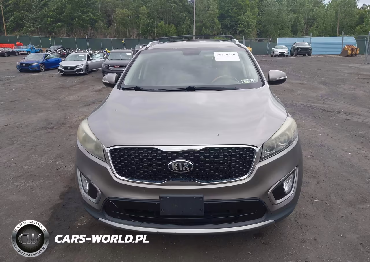 2017 Kia Sorento 3.3L Ex VIN:5XYPH4A55HG293439 - 12