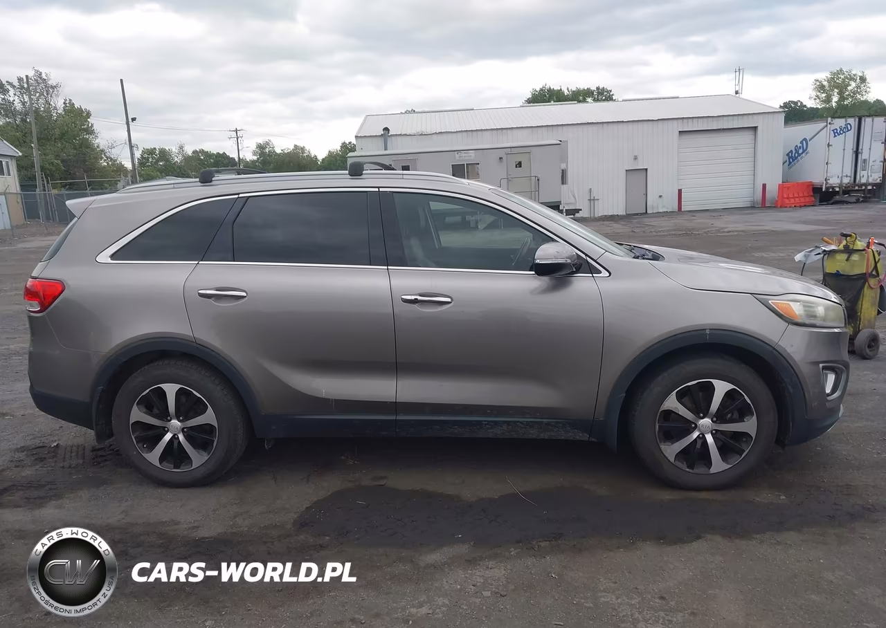 2017 Kia Sorento 3.3L Ex VIN:5XYPH4A55HG293439 - 13