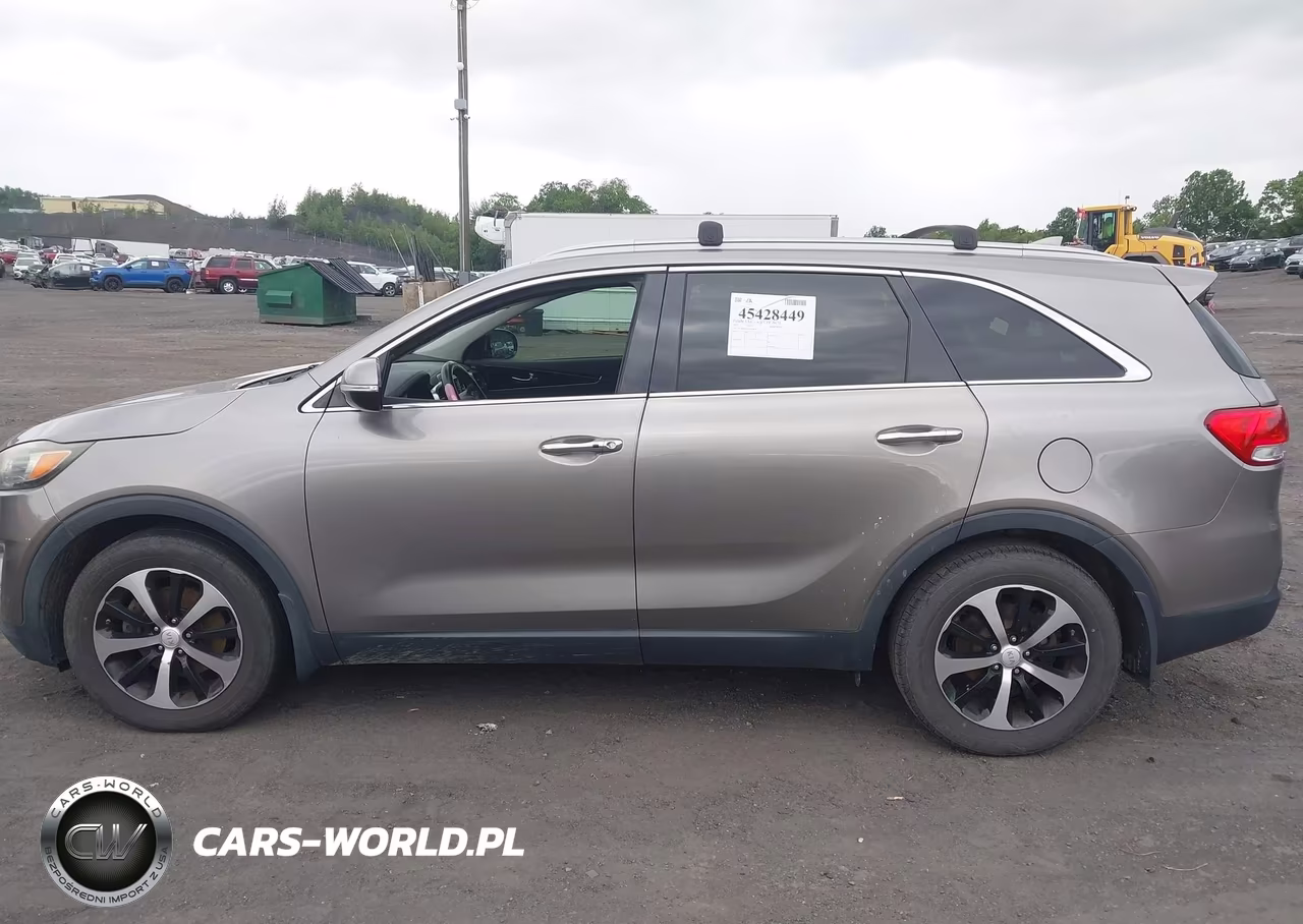 2017 Kia Sorento 3.3L Ex VIN:5XYPH4A55HG293439 - 14