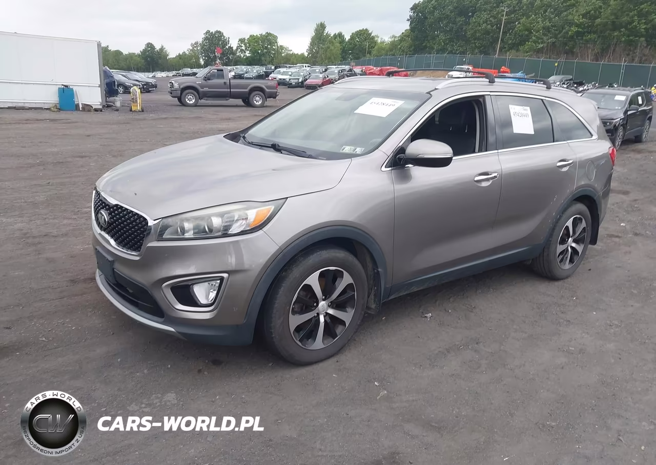 2017 Kia Sorento 3.3L Ex VIN:5XYPH4A55HG293439 - 2