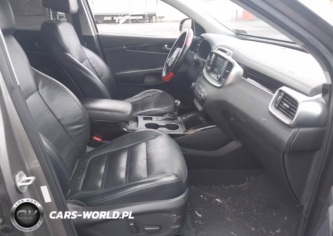 2017 Kia Sorento 3.3L Ex VIN:5XYPH4A55HG293439 - 5