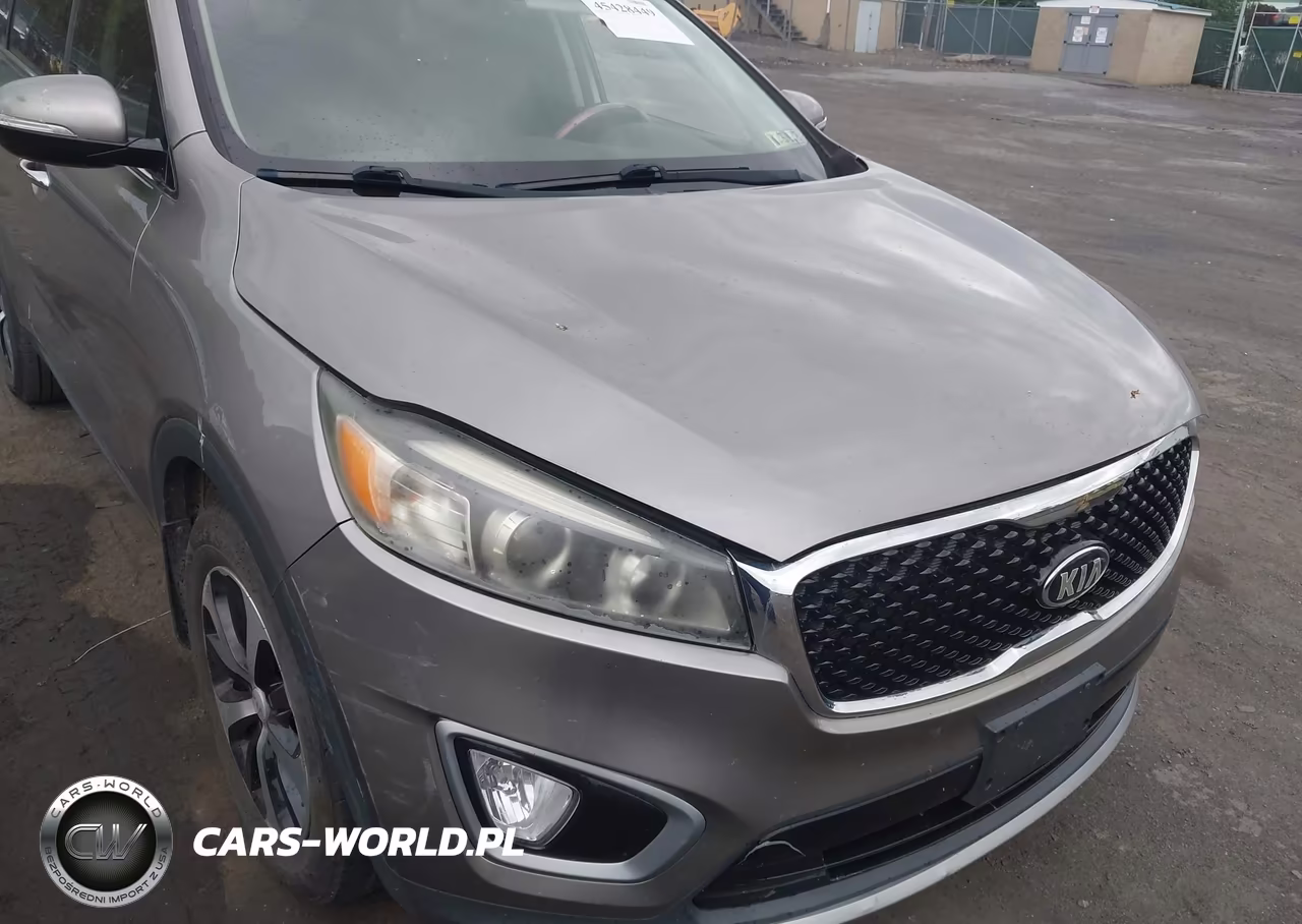 2017 Kia Sorento 3.3L Ex VIN:5XYPH4A55HG293439 - 6