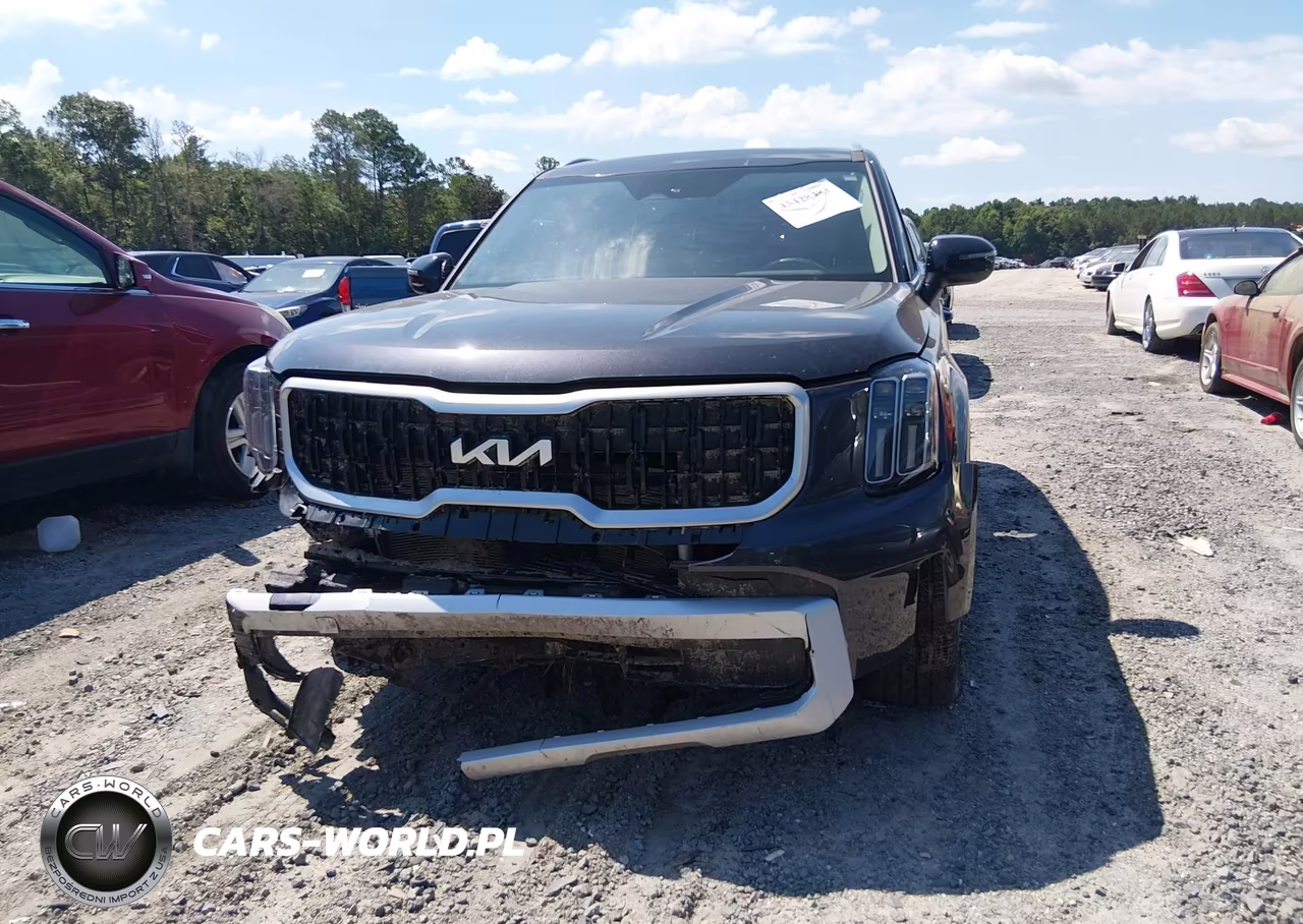 2025 Kia Telluride Ex VIN:5XYP34GC8SG603546 - 12