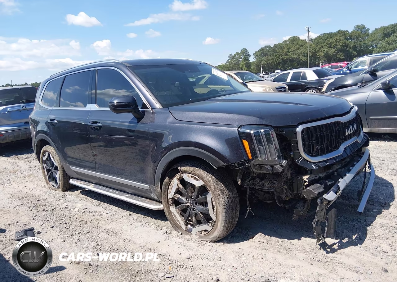 2025 Kia Telluride Ex VIN:5XYP34GC8SG603546 - 13