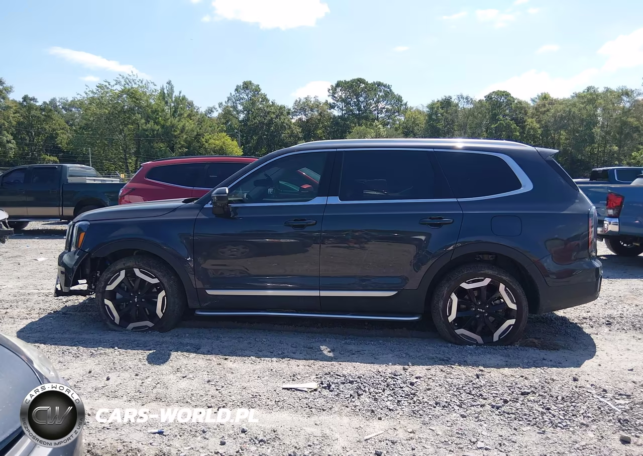 2025 Kia Telluride Ex VIN:5XYP34GC8SG603546 - 14