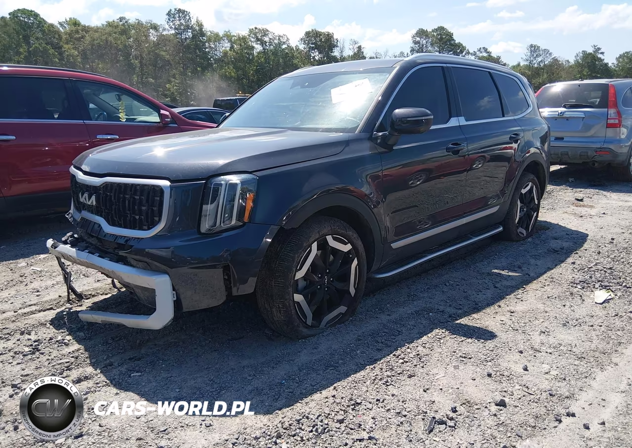2025 Kia Telluride Ex VIN:5XYP34GC8SG603546 - 2