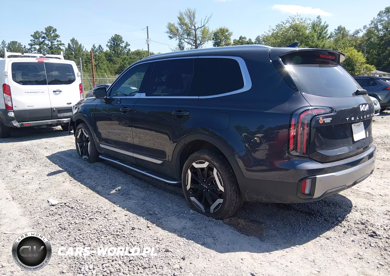 2025 Kia Telluride Ex VIN:5XYP34GC8SG603546 - 3