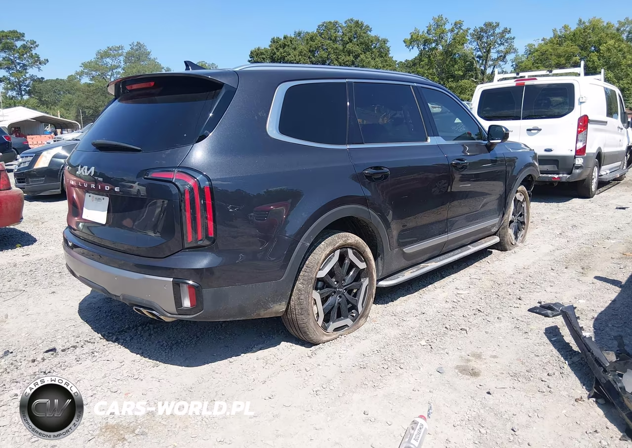 2025 Kia Telluride Ex VIN:5XYP34GC8SG603546 - 4
