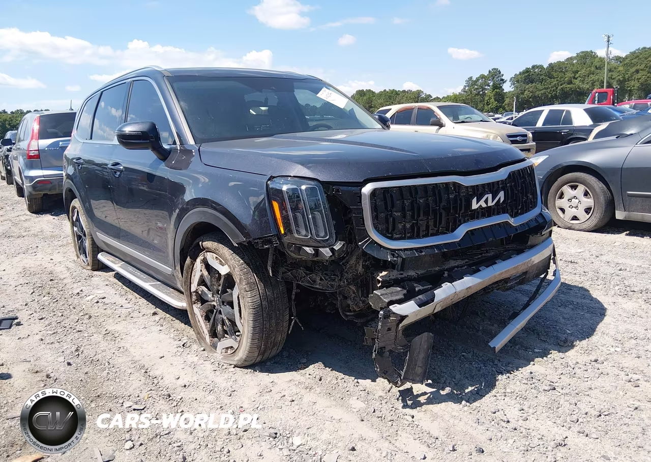 2025 Kia Telluride Ex VIN:5XYP34GC8SG603546 - 6