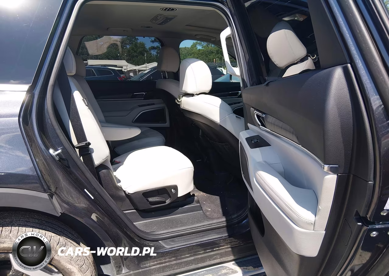 2025 Kia Telluride Ex VIN:5XYP34GC8SG603546 - 8