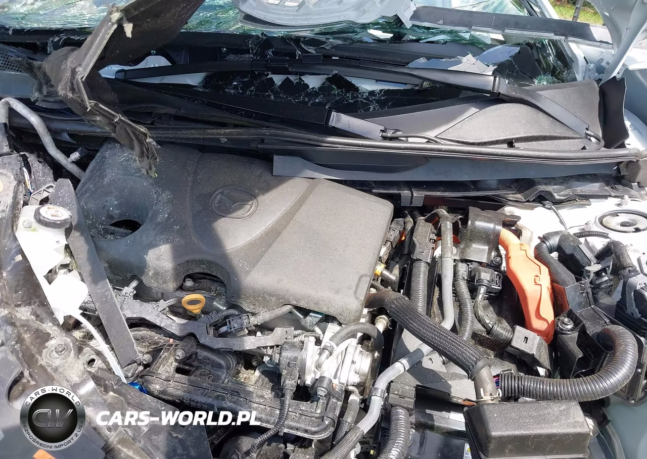2025 Mazda Cx-50 Hybrid Premium Plus Package VIN:7MMVAAEW5SN135342 - 10