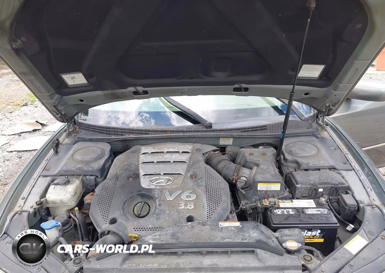 2006 Hyundai Azera Limited-Se VIN:KMHFC46F46A046904 - 10