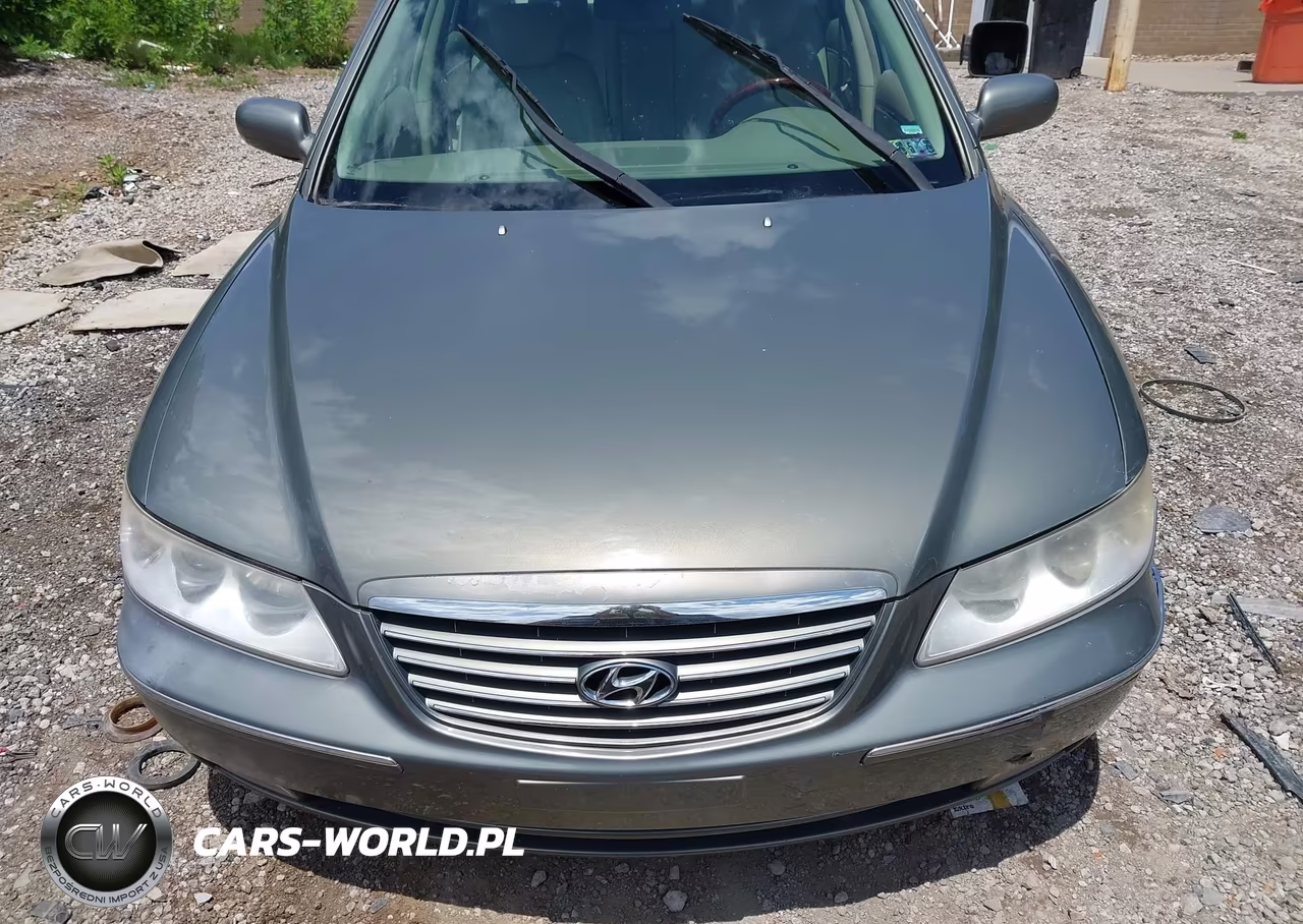 2006 Hyundai Azera Limited-Se VIN:KMHFC46F46A046904 - 6