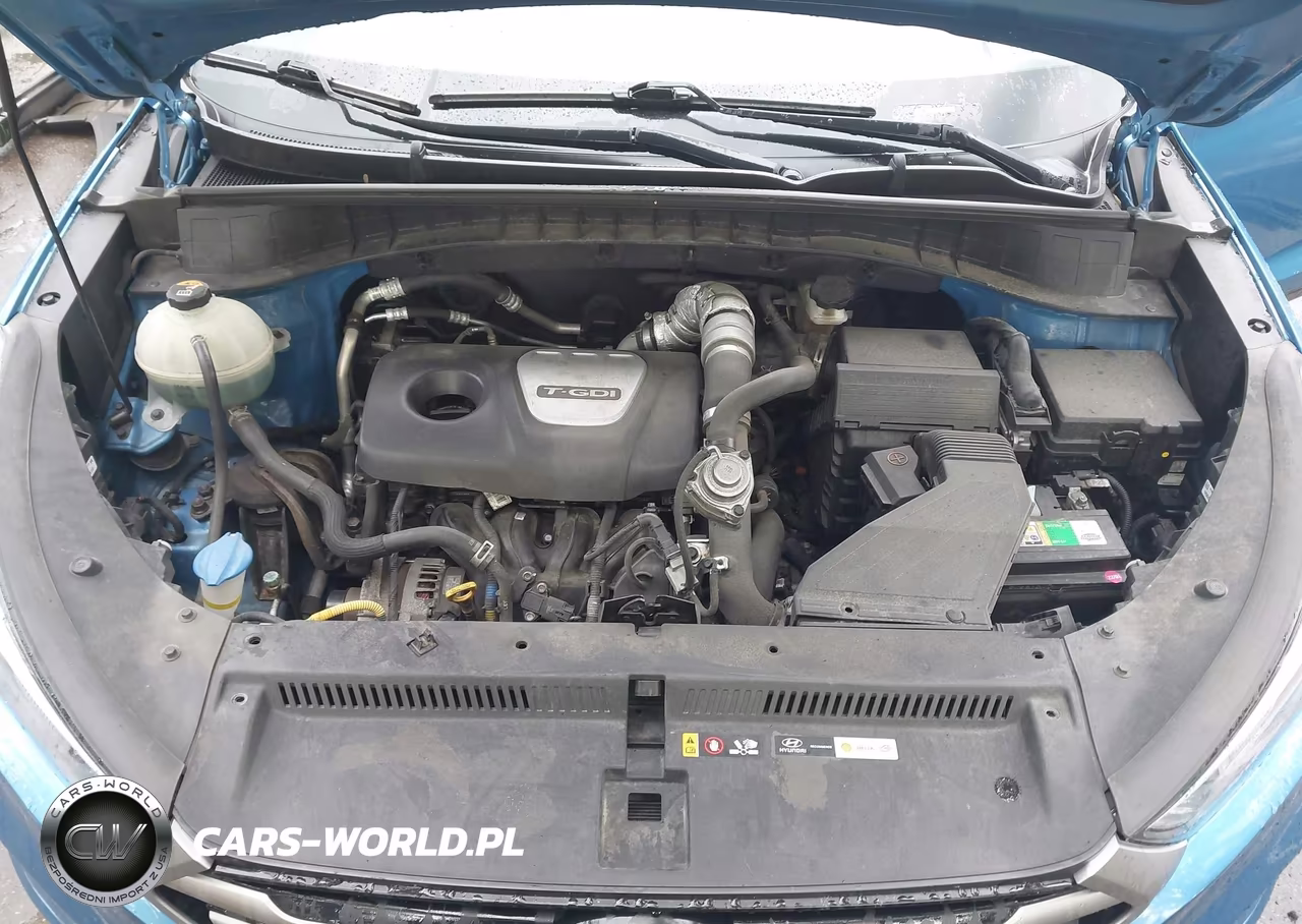 2017 Hyundai Tucson Sport VIN:KM8J3CA27HU265074 - 10