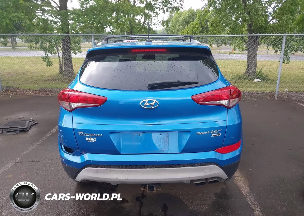 2017 Hyundai Tucson Sport VIN:KM8J3CA27HU265074 - 17