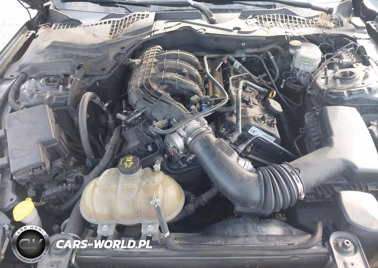 2015 Ford Mustang V6 VIN:1FA6P8AM3F5394584 - 10