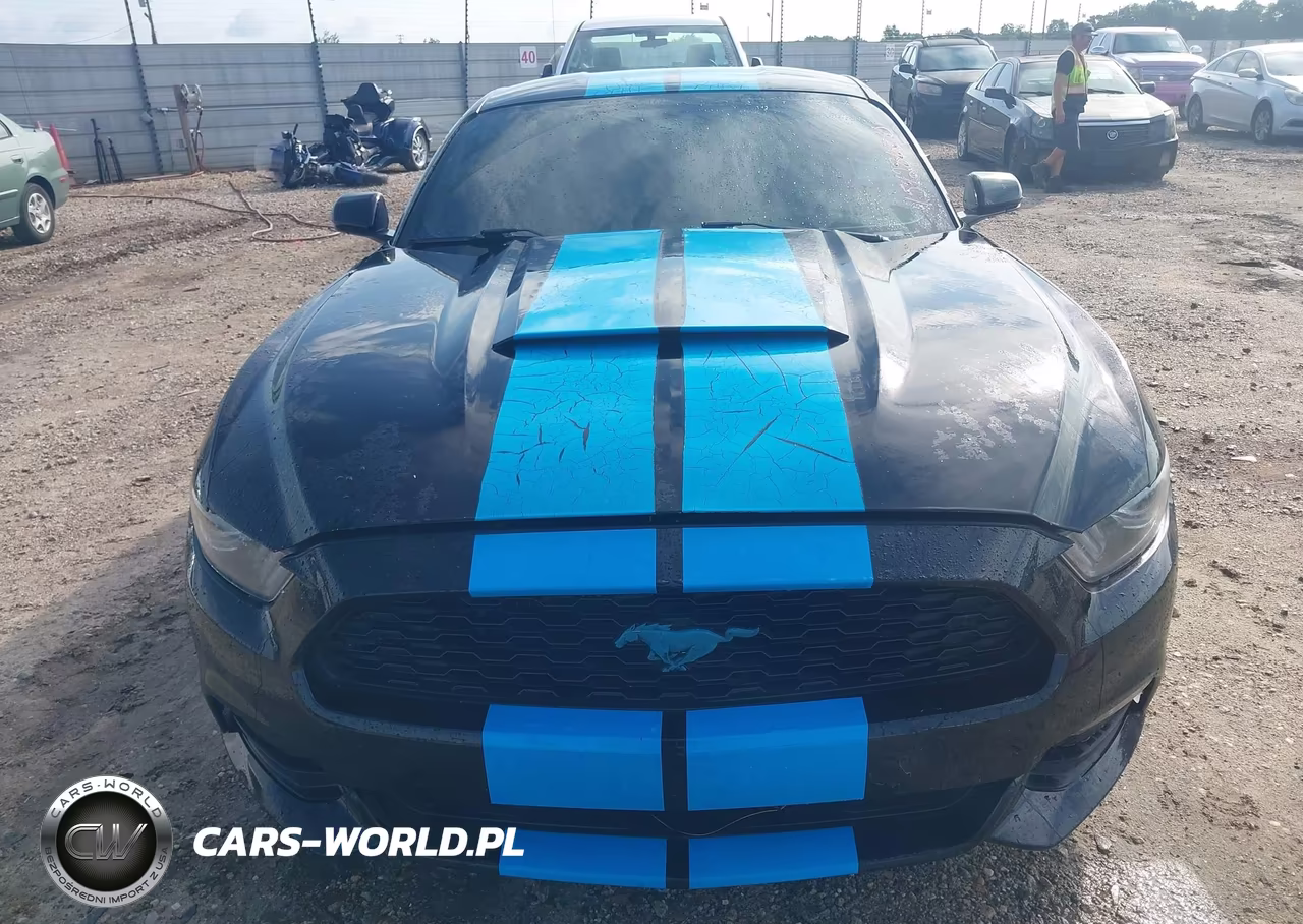 2015 Ford Mustang V6 VIN:1FA6P8AM3F5394584 - 12
