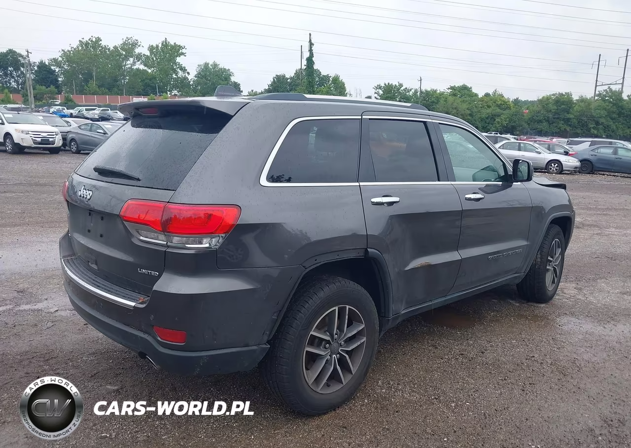 2019 Jeep Grand Cherokee Limited 4X4 VIN:1C4RJFBG2KC703814 - 4