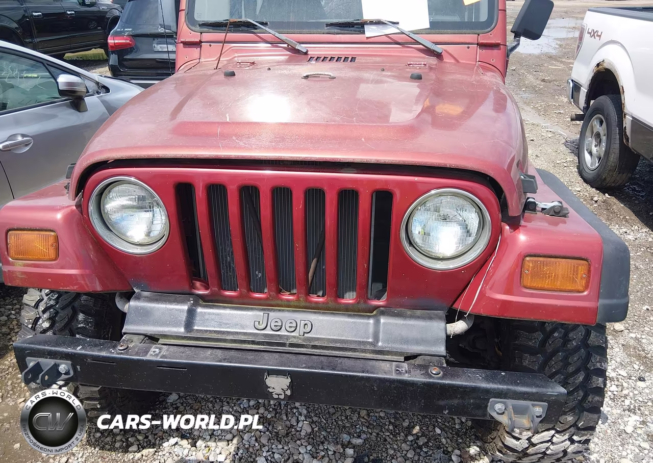 1998 Jeep Wrangler Se VIN:1J4FY29P4WP793148 - 15