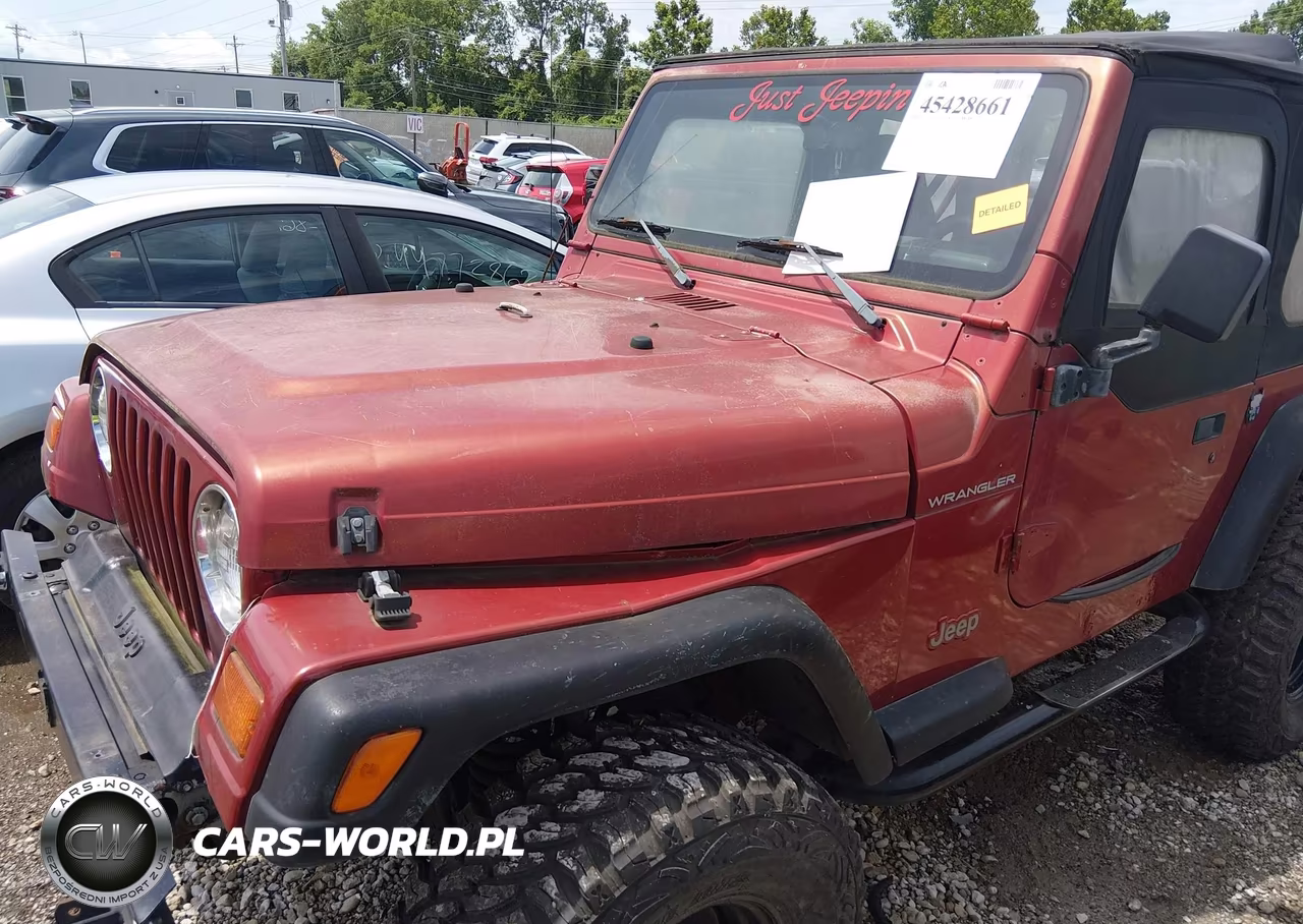 1998 Jeep Wrangler Se VIN:1J4FY29P4WP793148 - 16