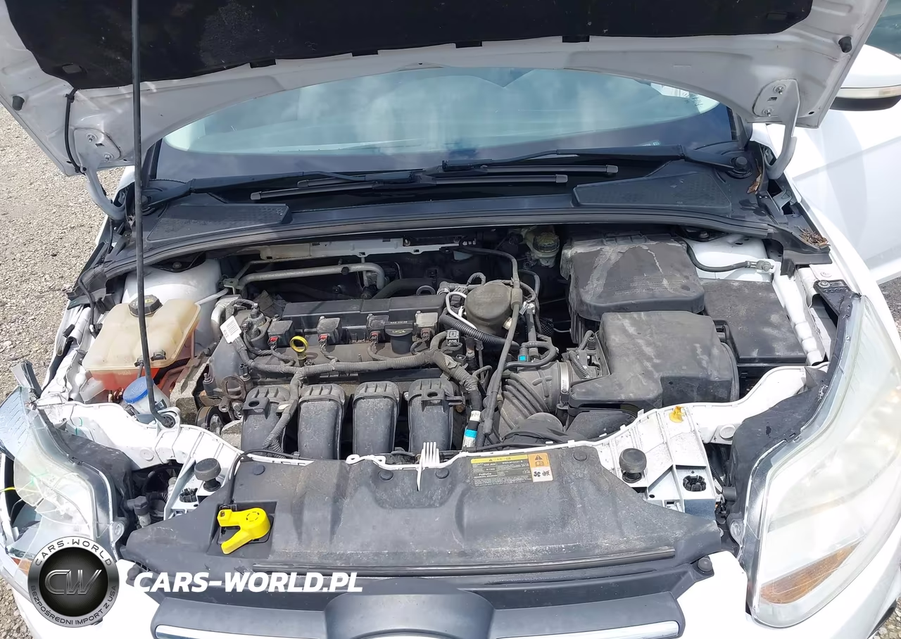 2014 Ford Focus Se VIN:1FADP3F23EL228755 - 10