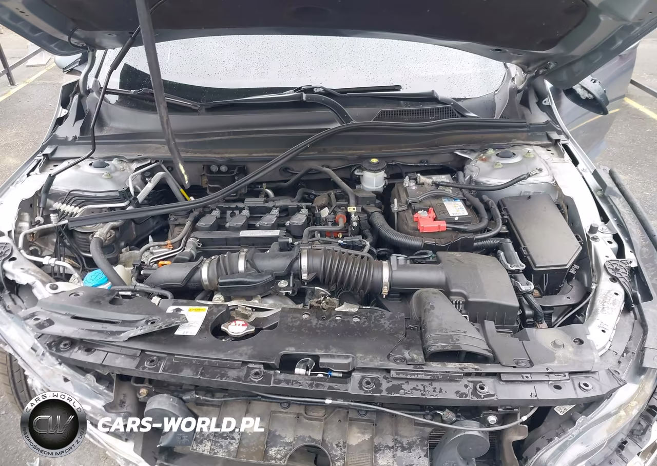 2019 Honda Accord Lx VIN:1HGCV1F14KA113131 - 10